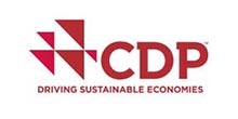 CDP DRIVING SUSTAINABLE ECONOMIES
